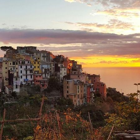 Terre Apartment Corniglia Eksteriør bilde